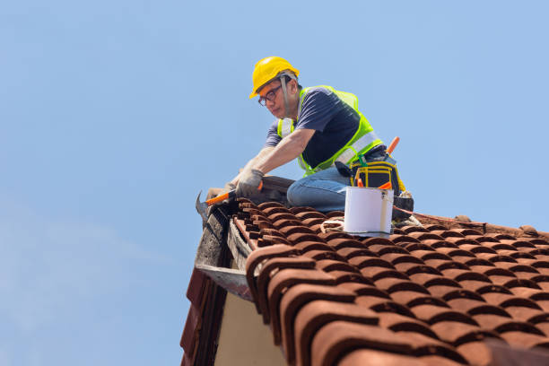 Best Rubber Roofing (EPDM, TPO)  in Bristol, WI